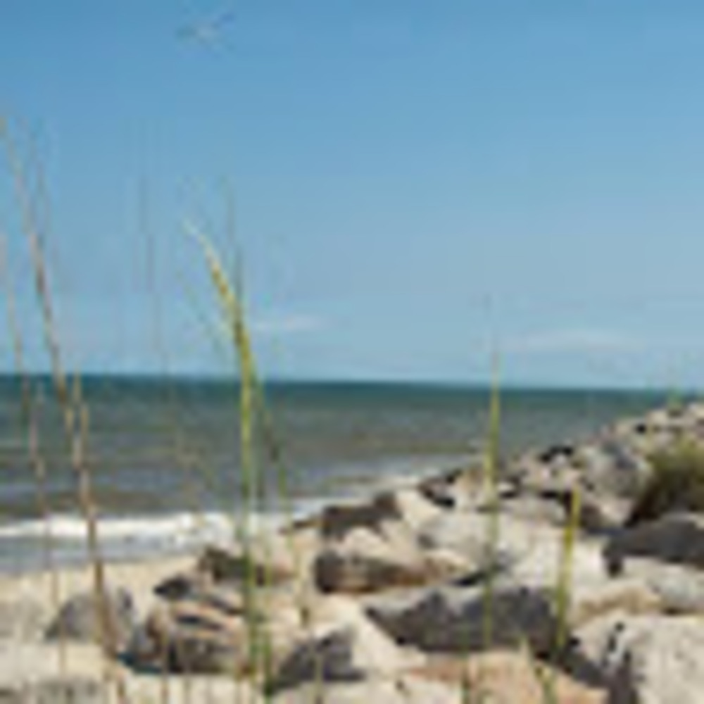 Meet your Posher, Cassie